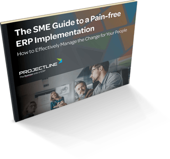 sme-guide-to-a-pain-free-erp-implementation (1)