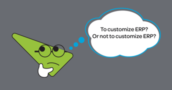 Nervous About ERP Customization? Here’s Why You Shouldn’t Be