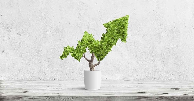 How an ERP System Enables SMEs to Achieve Big Growth