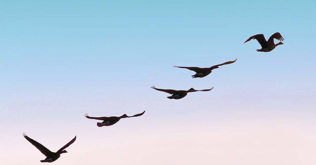 Running Live with ERP Leads to Big Wins for SMEs