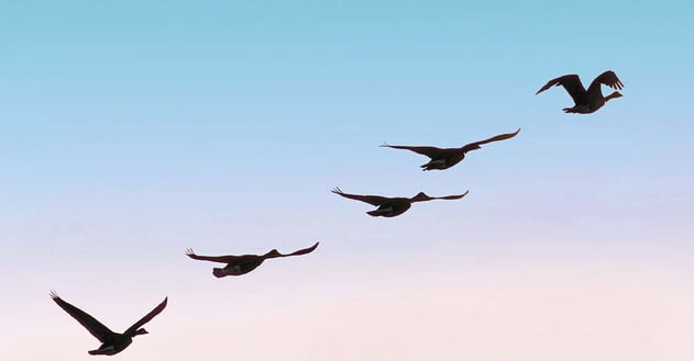 Running Live with ERP Leads to Big Wins for SMEs