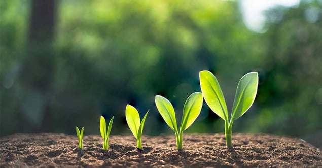 Why Do We Use ERP? 5 Signs Your SME Needs an ERP System
