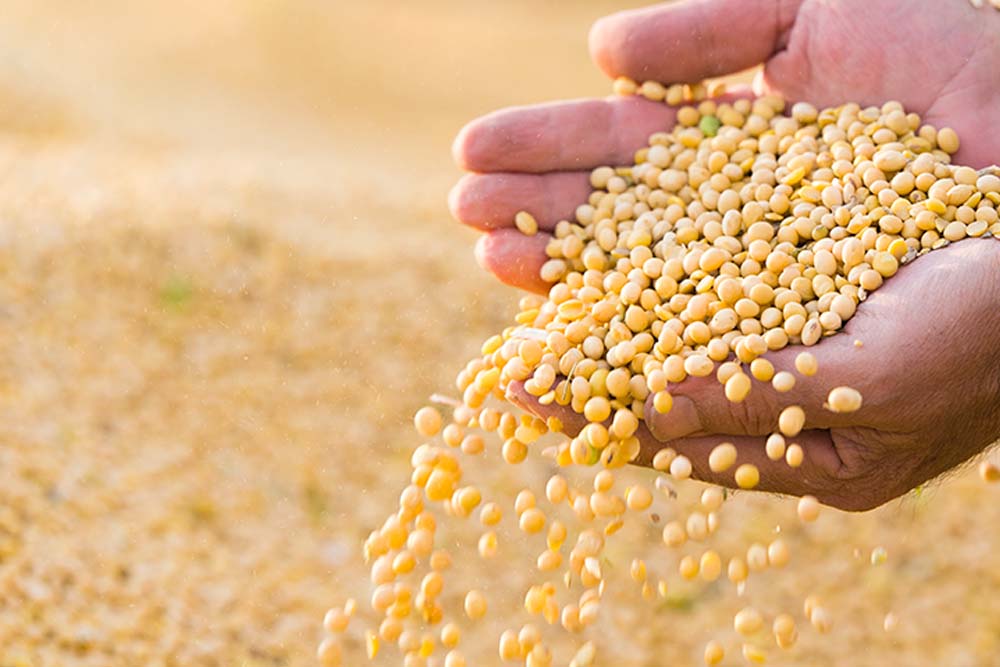Agriculture distribution