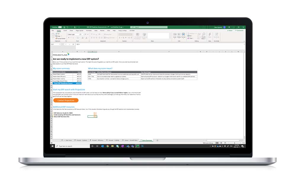 ERP Readiness Assessment