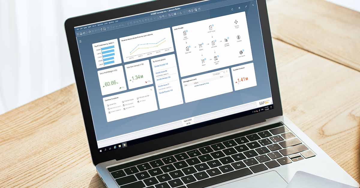SAP Business One analytics dashboard