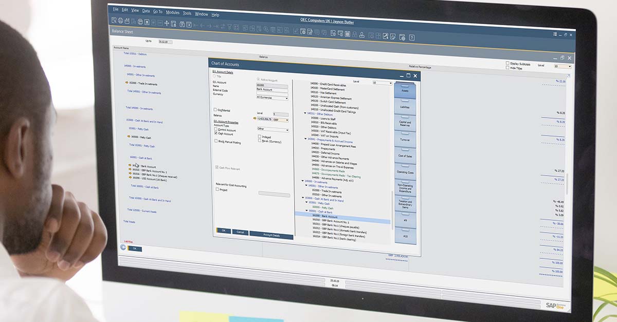 ERP Software Screen Showing GL Accounts