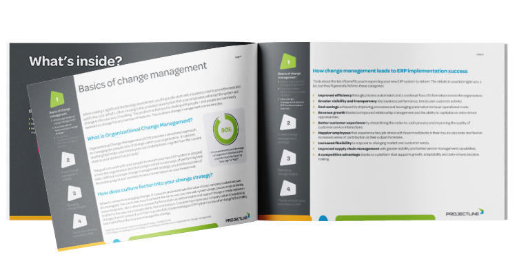 ERP Change Management Guide