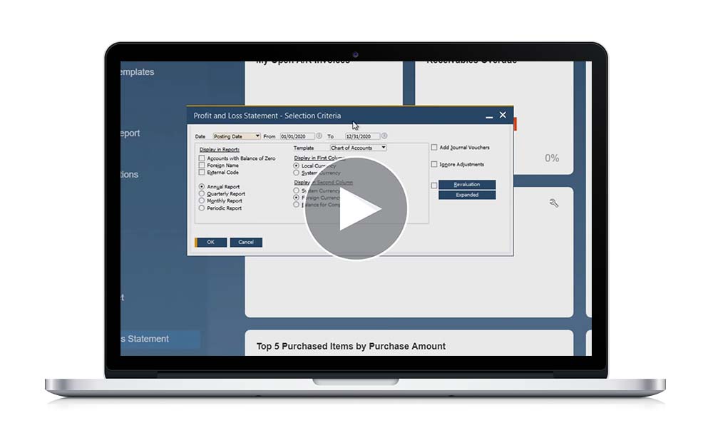 SAP Business One Financial Reports Demo